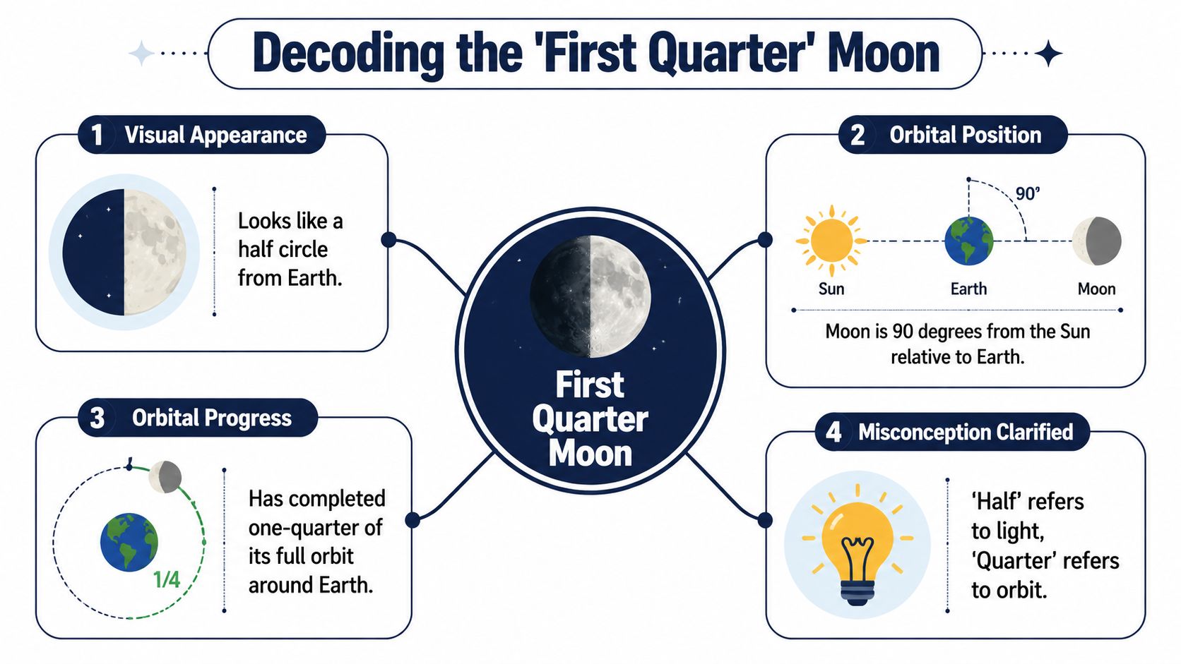 An infographic explaining the First Quarter Moon, covering appearance, orbital position, progress, and naming conventions.